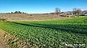 20230109_154347 - Dalla terra... il grano